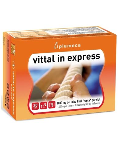 Vittal In Express Jalea 1000Mg 20 Vialesx10ml Plameca