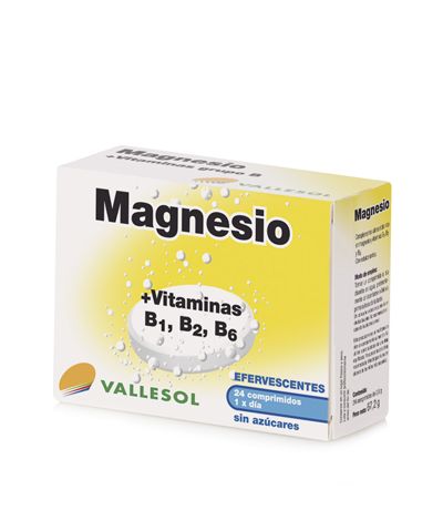 Magnesio  Vitamina B Efervescente 24comp Vallesol