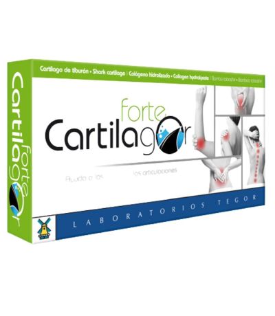 Cartilago Forte 300Mg 40caps Tegor