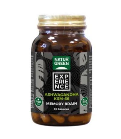 Experience Memory Brain SinGluten Bio Vegan 90caps Natur-Green