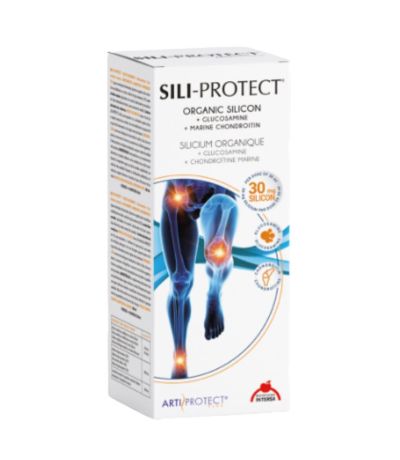 Sili-Protect Silicio 500ml Intersa
