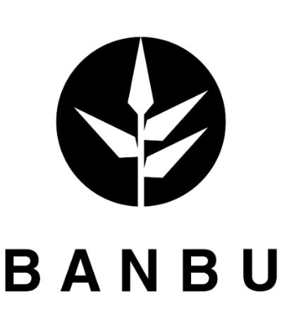 Cepillo para cabello Ovalado Bambu 1ud Banbu