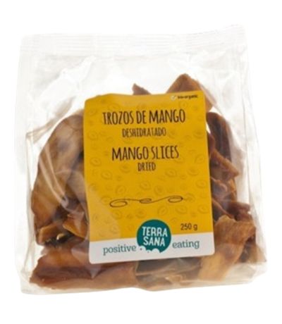 Tiras De Mango Bio Vegan 250g Terrasana